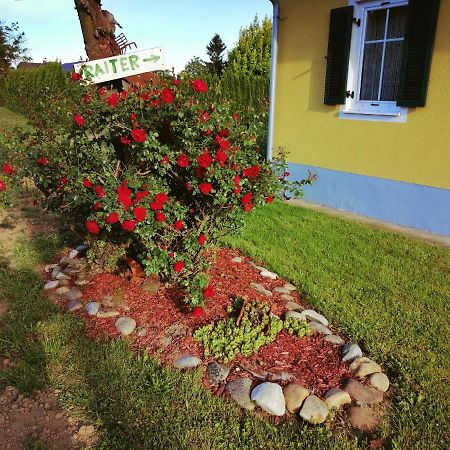 Villa Ferienhaus Raiter Suedsteiermark à Weitersfeld an der Mur Extérieur photo