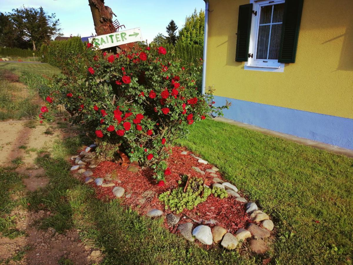 Villa Ferienhaus Raiter Suedsteiermark à Weitersfeld an der Mur Extérieur photo